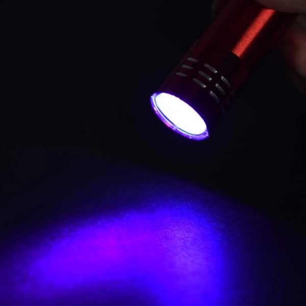 Mini LED Flashlight with Lanyard