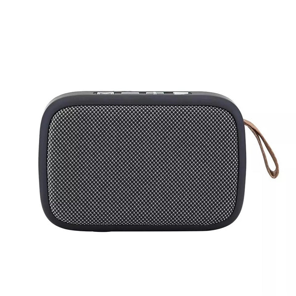 Wireless Speaker with Hook