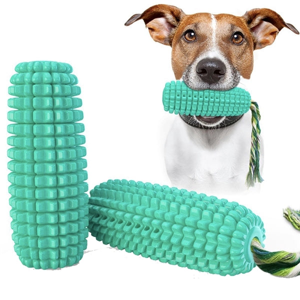 Dog Chew Toys