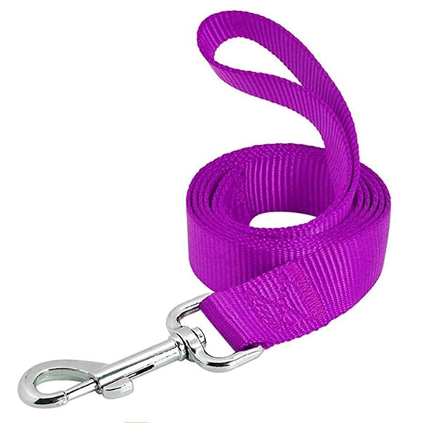 Nylon Dog Leashes