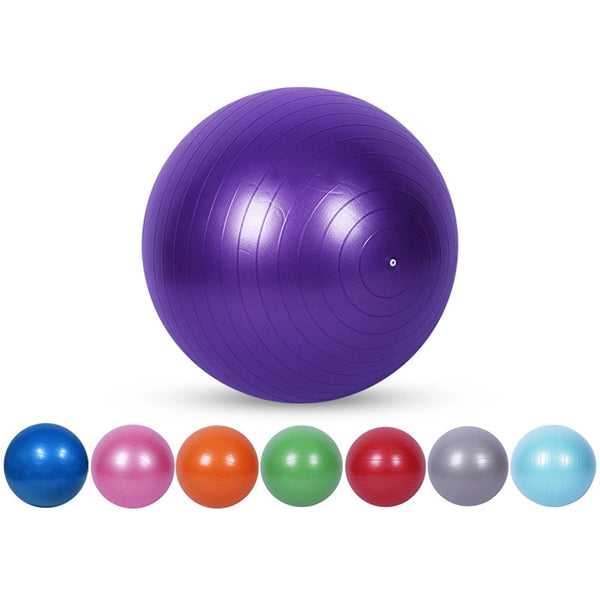 25.6Inch 800g Yoga Exercise Ball