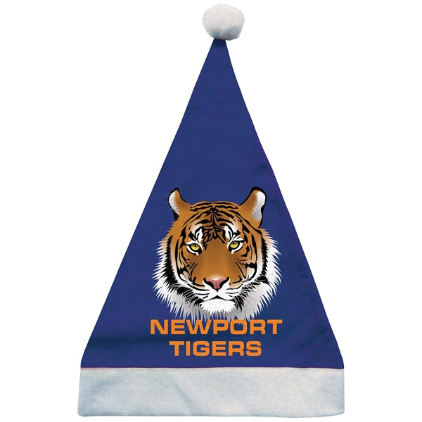 Christmas Hat