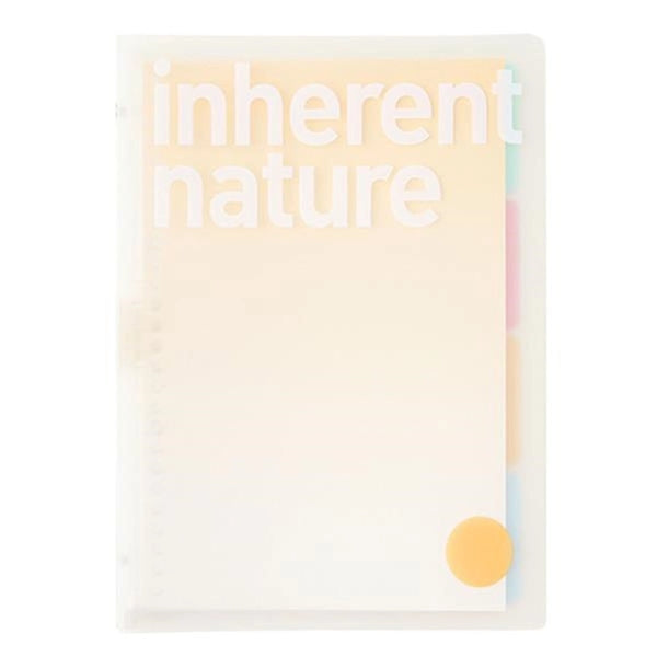 Removable Pp Transparent Frosted Coil Book