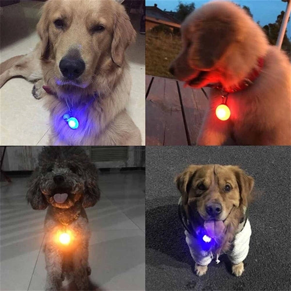 Led Night Dog Walking Light