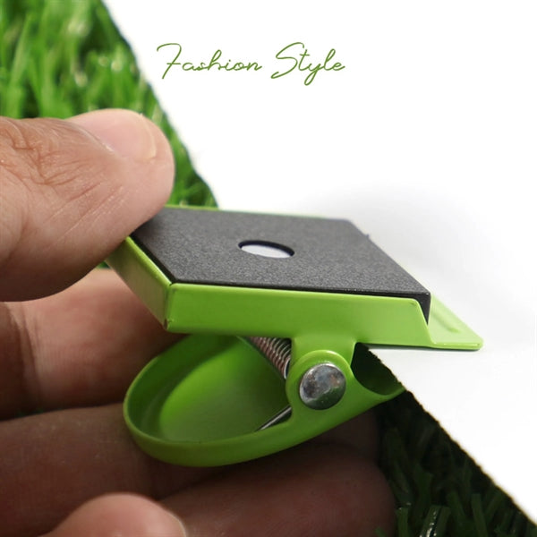 Magnetic Clips