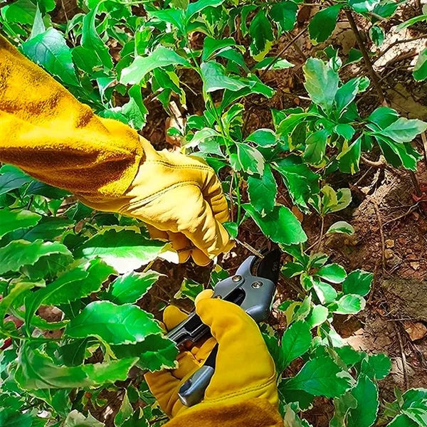 Leather Garden Gloves