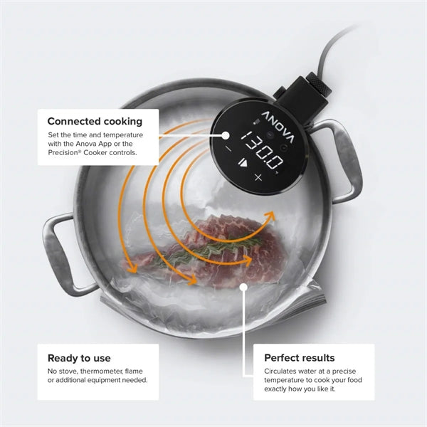 Sous Vide Precision Cooker (WiFi)