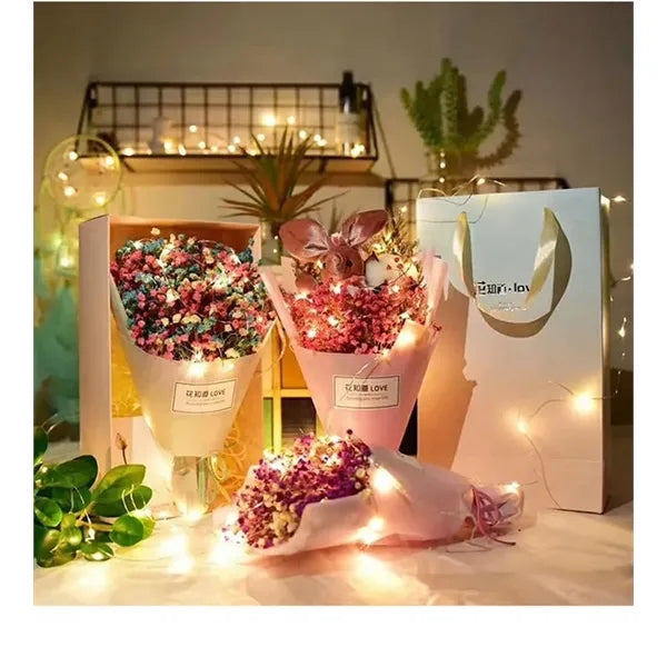 LED Fairy String Lights