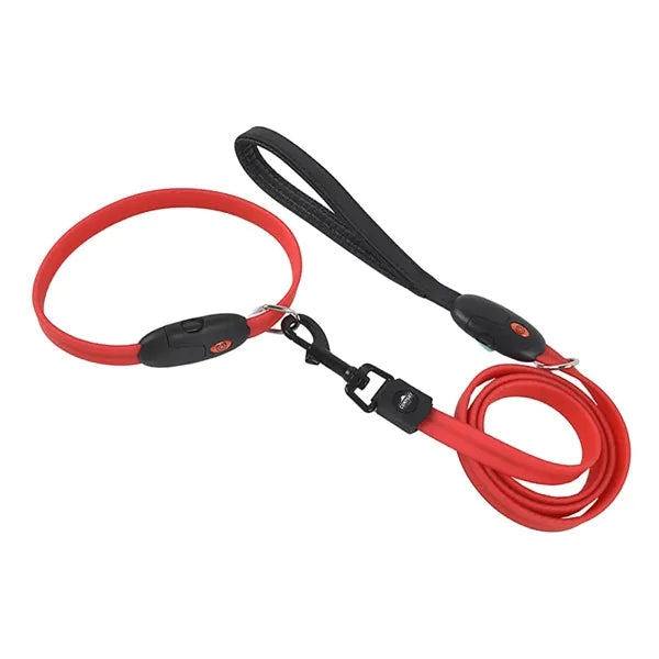 Night Safety Led Dog Leash