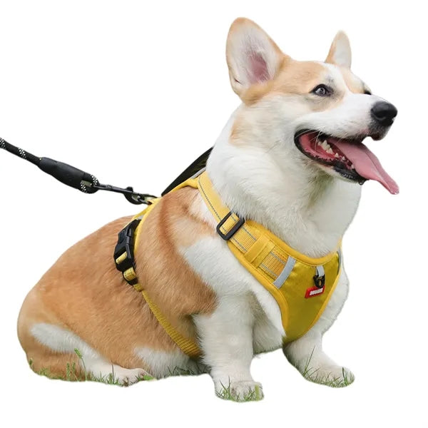 Pet Dog Chest Harness Without Leash
