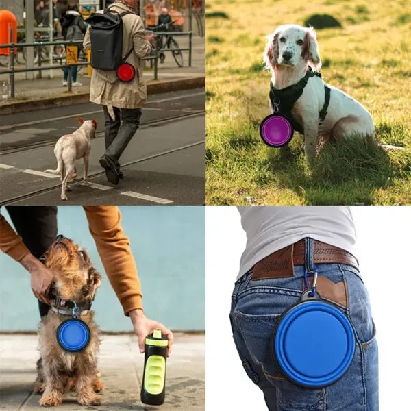 Dog Pet Collapsible Bowl with Carabiners