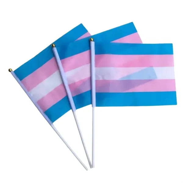 Hand Waving Rainbow Flags