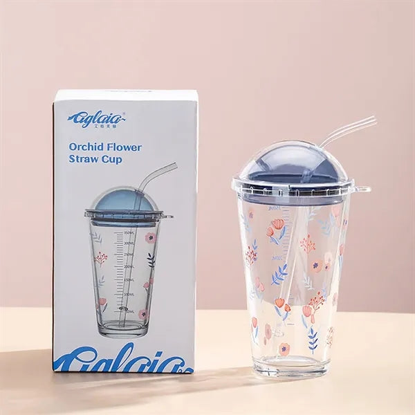 16Oz Heat-Resistant Cute Glass Cup W/ Straw