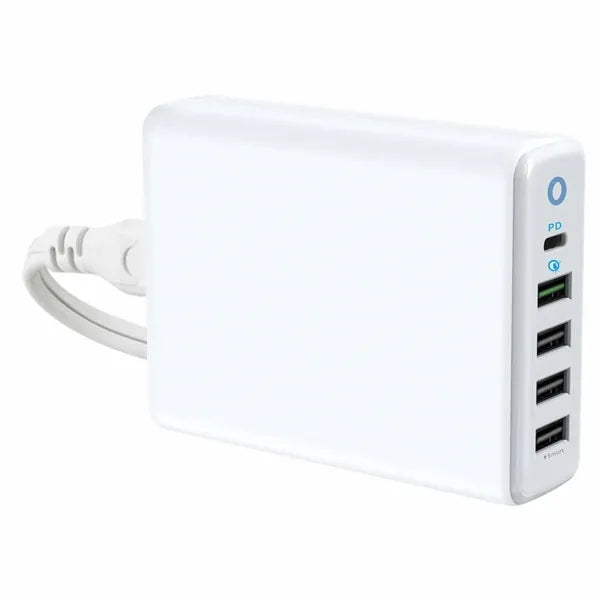 Multi Port Charger