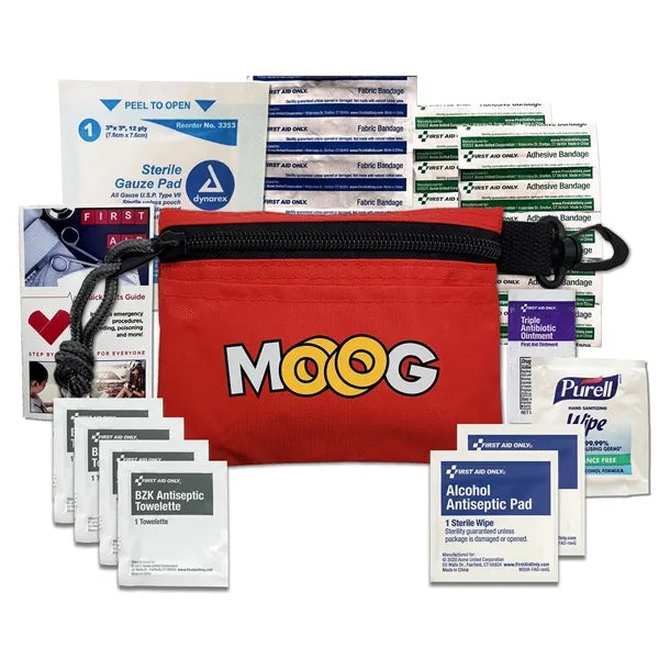 Mini First Aid Kit