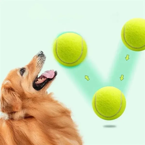 Pet Training Tennis Ball