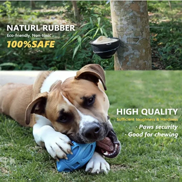 Durable Natural Rubber Squeaky Dog Toy