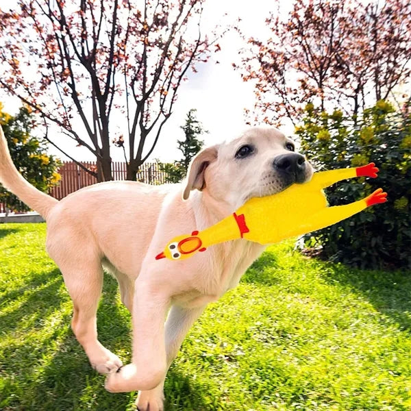 Pet Toys Make Loud Screams, Chicken Tips Crow