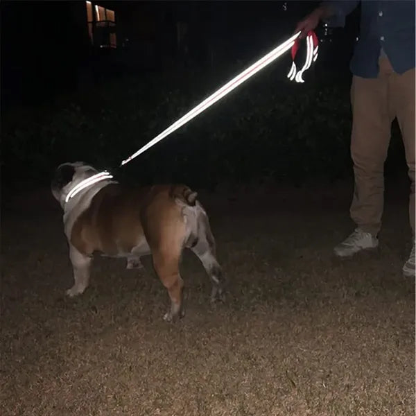 Double-Sided Reflective Dog Leash