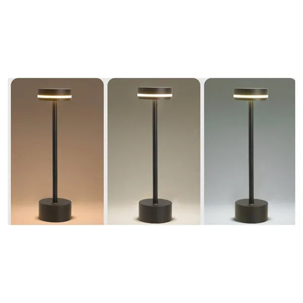 Night Light LED Desk Lamp Nightshade Rechargeable Desk Lamp