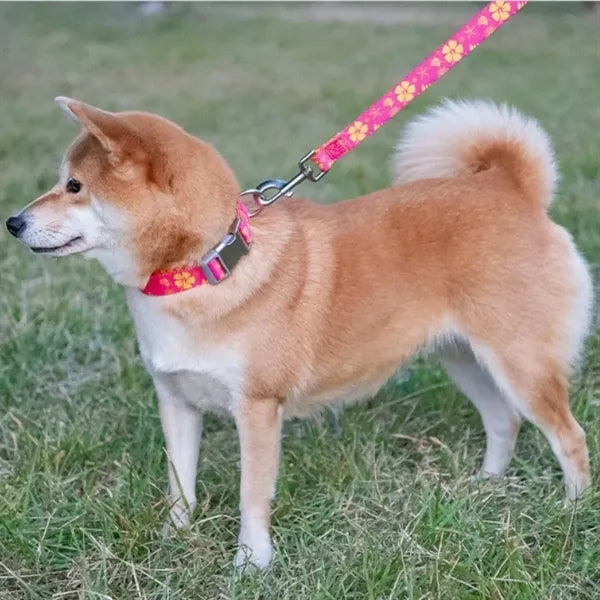 Printed Pet Leash with Metal Carabiner