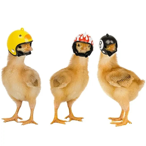 Cute Chicken Pet Helmet Safety Hat