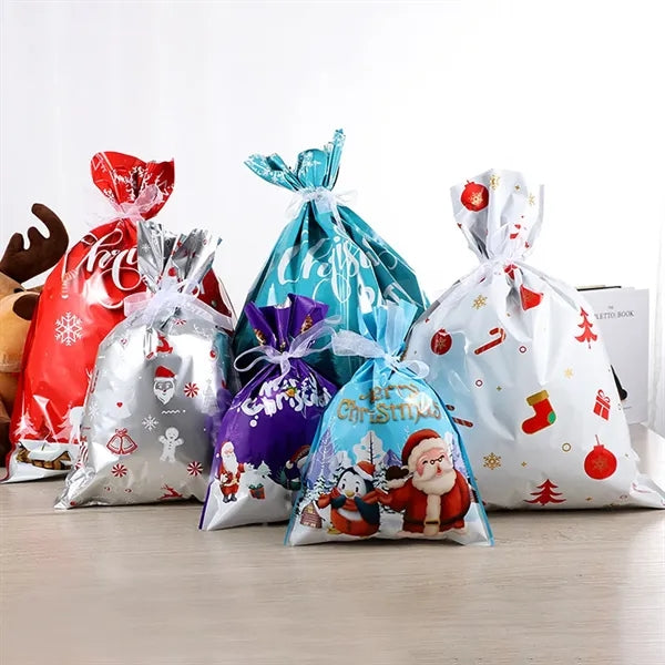 Christmas Gift Bag