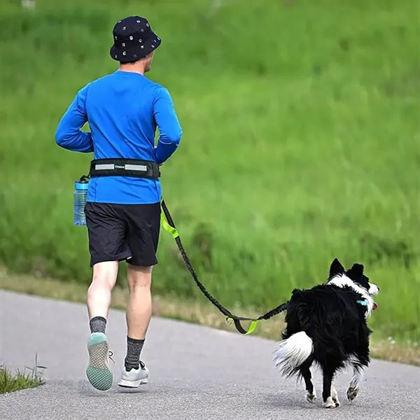 Multi-Function Pet Leash for Running & Fitness