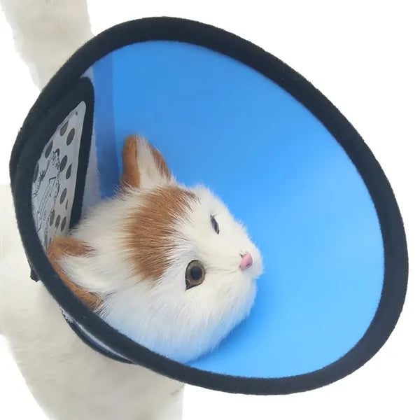 Adjustable Anti Bite Pet Recovery Collar