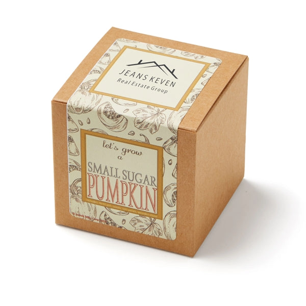 Small Sugar Pumpkin Seed Growable Planter in Kraft Gift Box