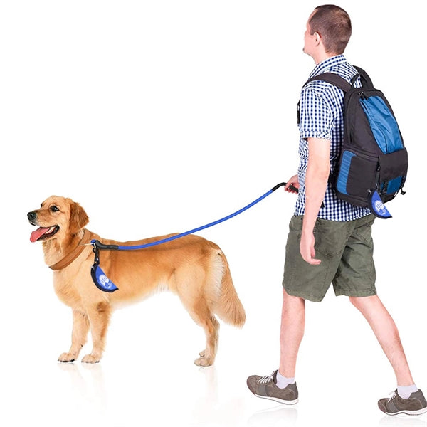 Collapsible Pet Bowl
