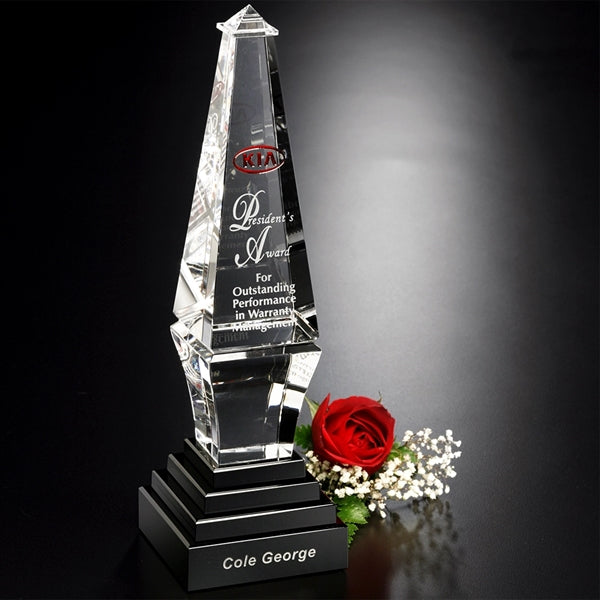 Epitome Award 12