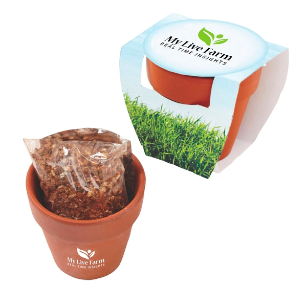 Seed Sensations Terracotta Pot Planter