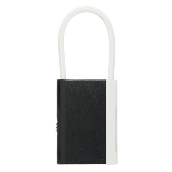 Lovely Carabiner and LED Light Combo