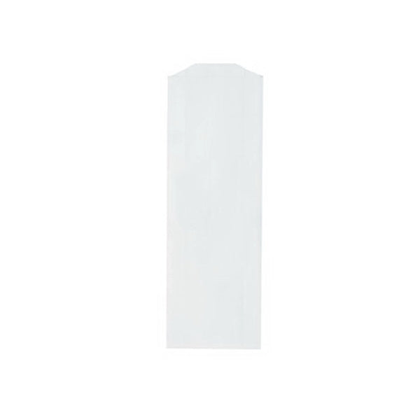 White Kraft Paper Prescription Bag - Flexo Ink