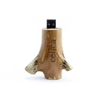 Branch USB Drive