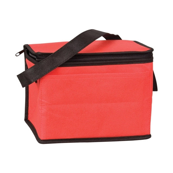 Non Woven Cooler Bag