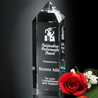 Buckingham Award 8