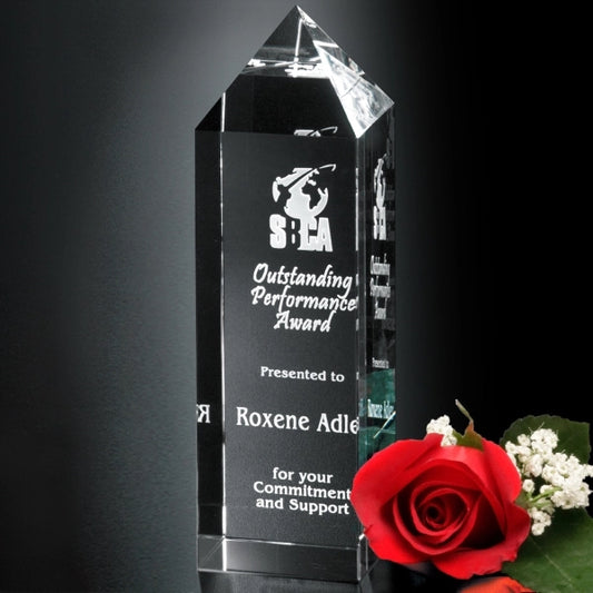 Buckingham Award 8