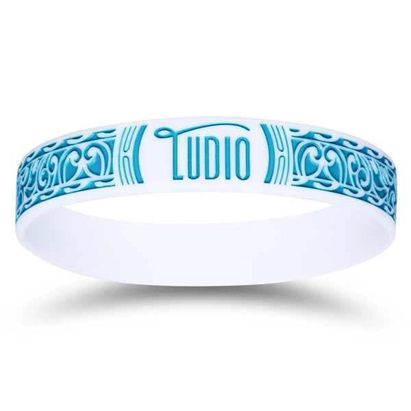 Colorfilled Silicone Wristband Bracelet-A