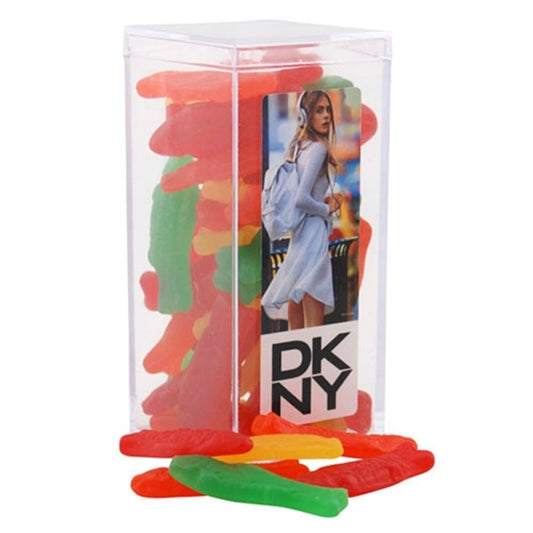 Assorted Fish in a Clear Acrylic Square Tall Box