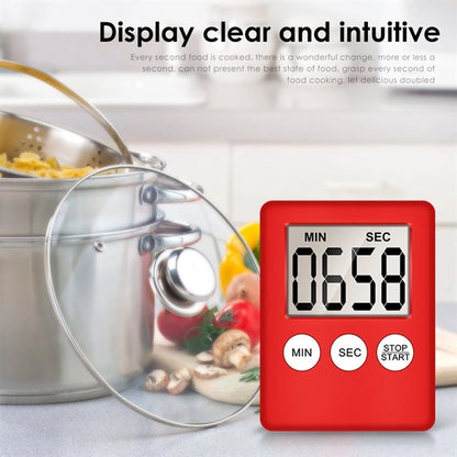 Multi-Function Electronic Timer