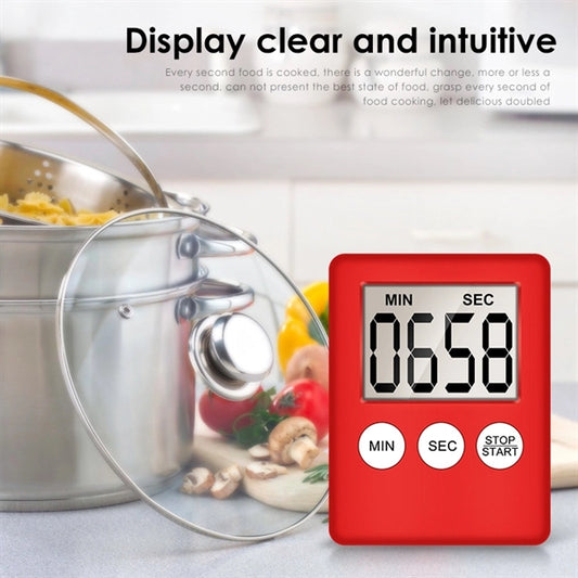 Multi-Function Electronic Timer
