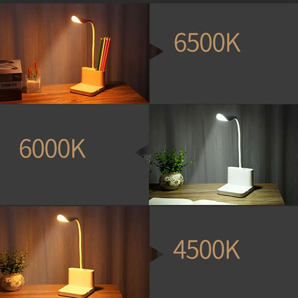 LED Desk Lamp with Pen Holder