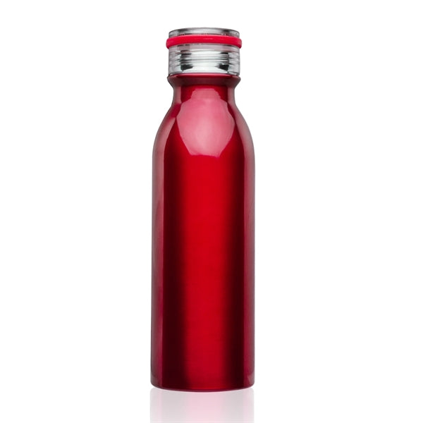 20 oz. BPA free Stainless Steel Sports Bottle w/ carry loop