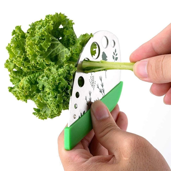 Stainless Steel Vanilla Peeler