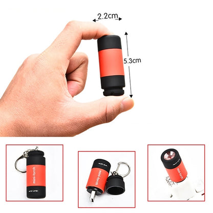 Flashlight with Keyring