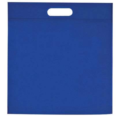 Budget Large Heat Sealed Non Woven Exhibition Bag - BG