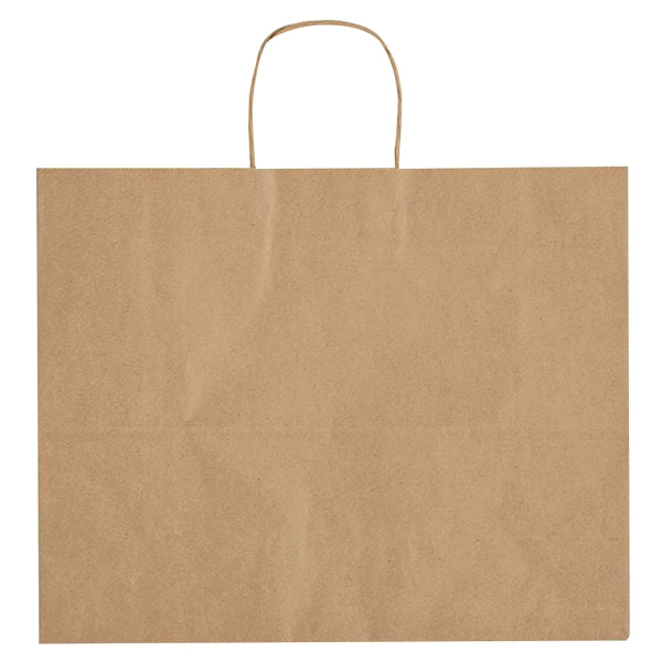 Budget Custom Kraft Paper Brown Shopping Bag-16"-BG