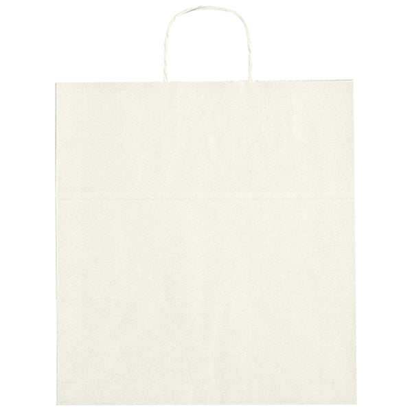 Budget Custom Kraft Paper White Shopping Bags-14-x-15
